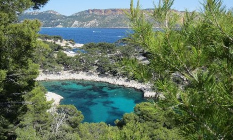 <i>Calanque de Port Pin (©Jean-Michel Coste)</i>