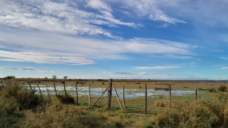 Camargue 