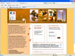 Site www.declarationpollution.ecologie.gouv.fr