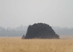 Le geyser