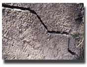 Fissuration de mur de palissade Fissuration de mur de palissade