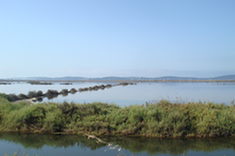 La presqu'île de Giens

Crédit photo/SH/DREAL PACA