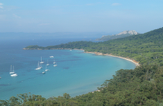 Plage de Courtade-Porquerolles

Crédit photo/SH/DREAL PACA