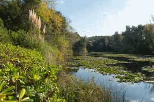 Domaine de la Coudoulière (© Photo Région PACA / Cintas-Florès Régis)