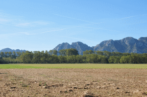 Les Alpilles (© LT/DREAL PACA)