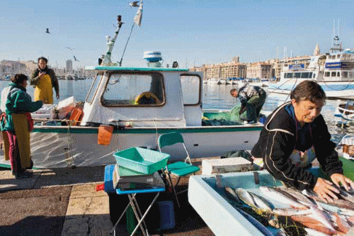 Marché au poisson sur le Vieux-Port de Marseille (© Laurent Mignaux/METL-MEDDE)
