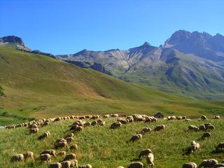 Alpages. (© Jean-Pierre Mareschal/METL-MEDDE)