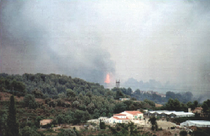Incendie de Cagnes-sur-Mer en 2003 - Source : Pierre Carrega- Université de Nice-Sophia Antipolis, UMR Espace CNRS