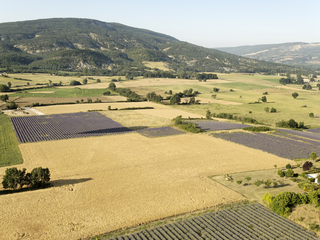 Polyculture (dont lavande) dans le Luberon. (© Laurent Mignaux/METL-MEDDE)