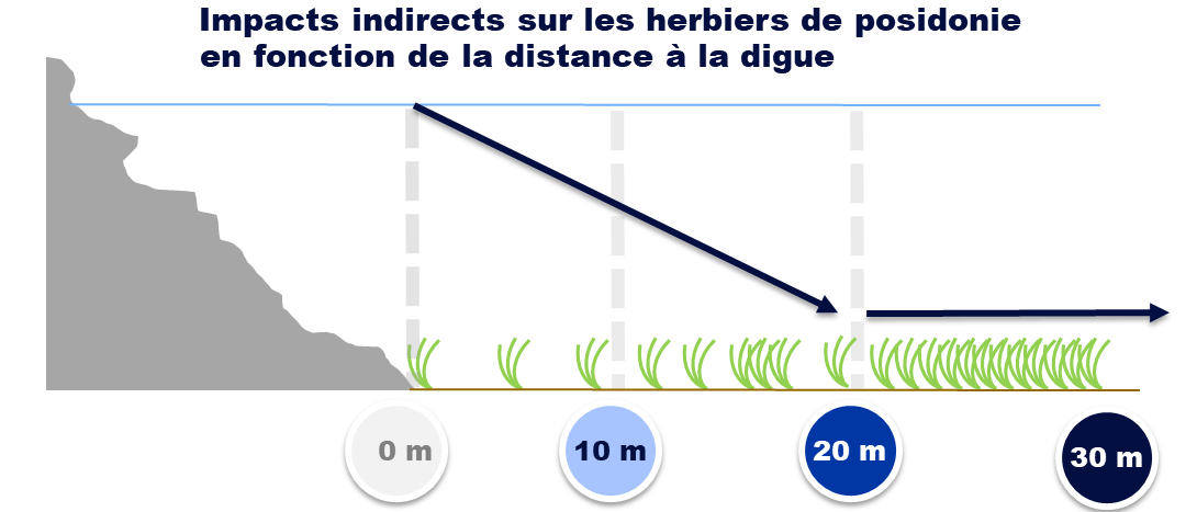 Fig. 1 : synthèse visuelle des résultats de l’étude.